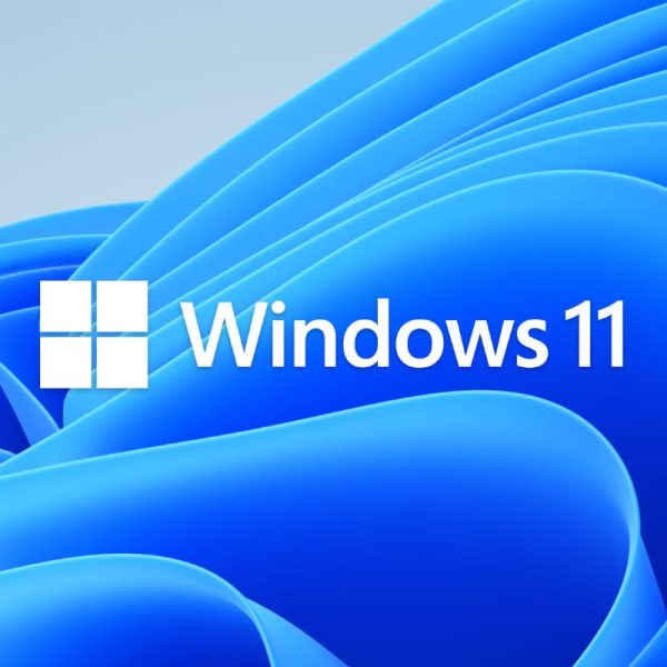 Microsoft Windows 11 Pro DSP