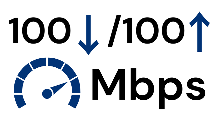 Mitsol 100-100 Mbps