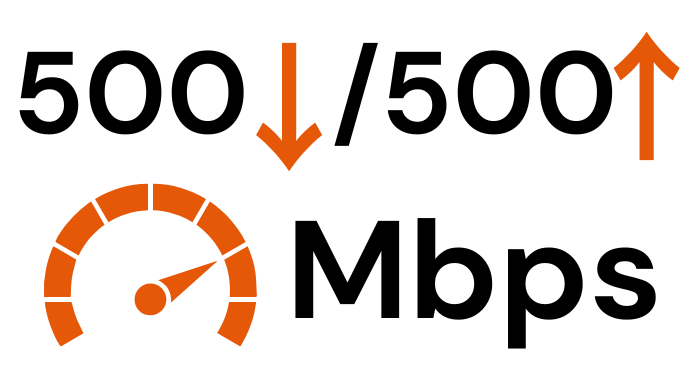 Zoom 500-500 Mbps